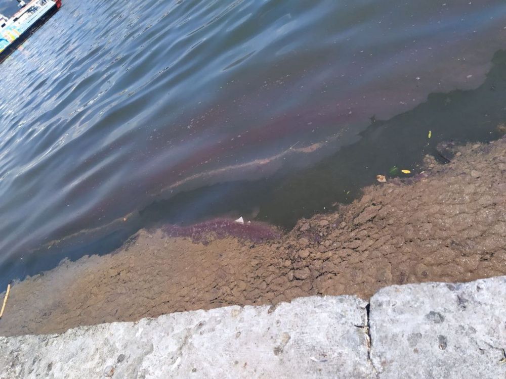 Ученые изучают случаи окрашивания Черного моря в розовый цвет у Новороссийска