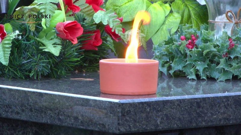 НИ ДОБРЫХ СЛОВ, НИ ПОЧЕСТЕЙ, НИ ЗАЛПОВ…