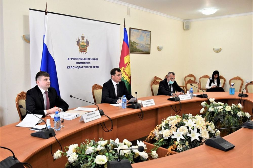 Более 1 млрд рублей направят на финансирование ветеринарной службы на Кубани в 2022 году
