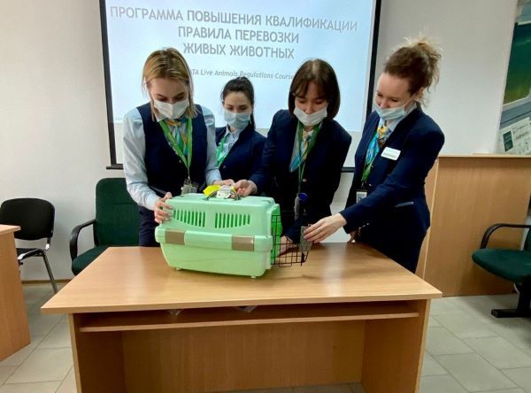 В аэропорту Краснодара учатся обслуживать хвостатых пассажиров