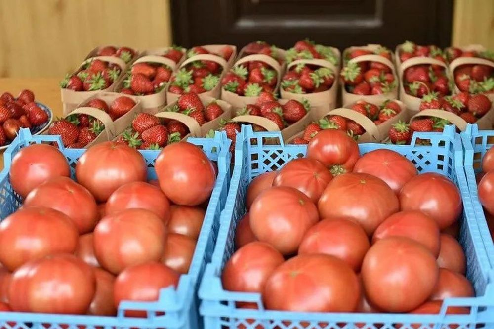 «Фермерские островки» появятся в торговых сетях Краснодарского края