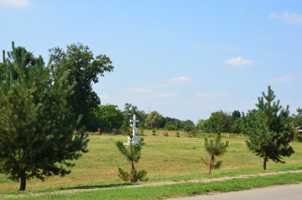 Будущий парк.JPG