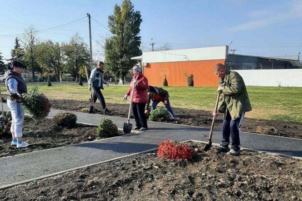 Более 100 кустов цветов высадили в парке хутора Александровского ...