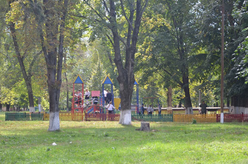 DSC_9257.JPG