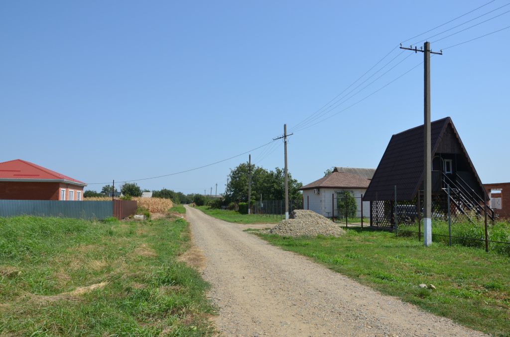 Поле чудес.JPG