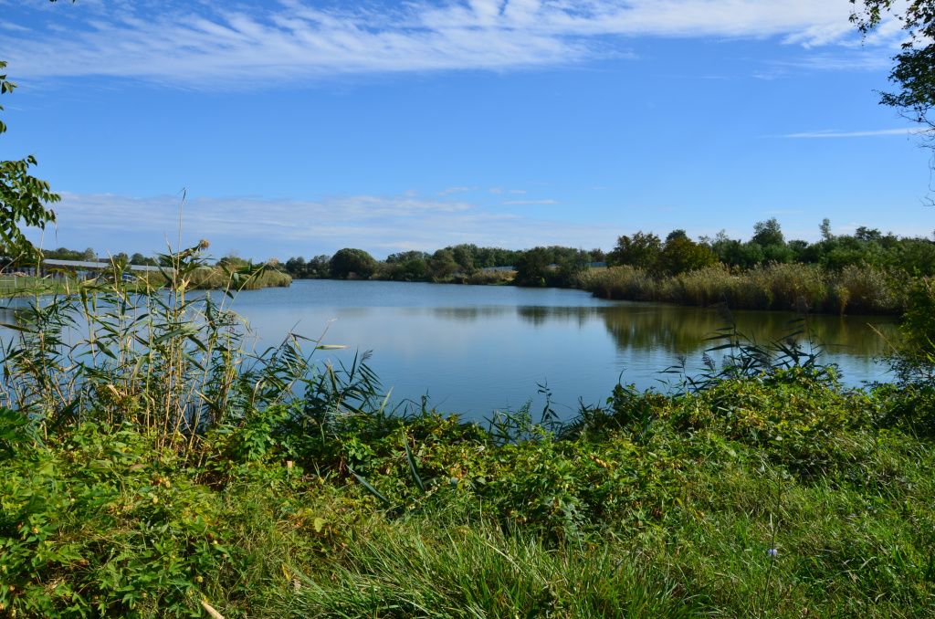 DSC_9282.JPG