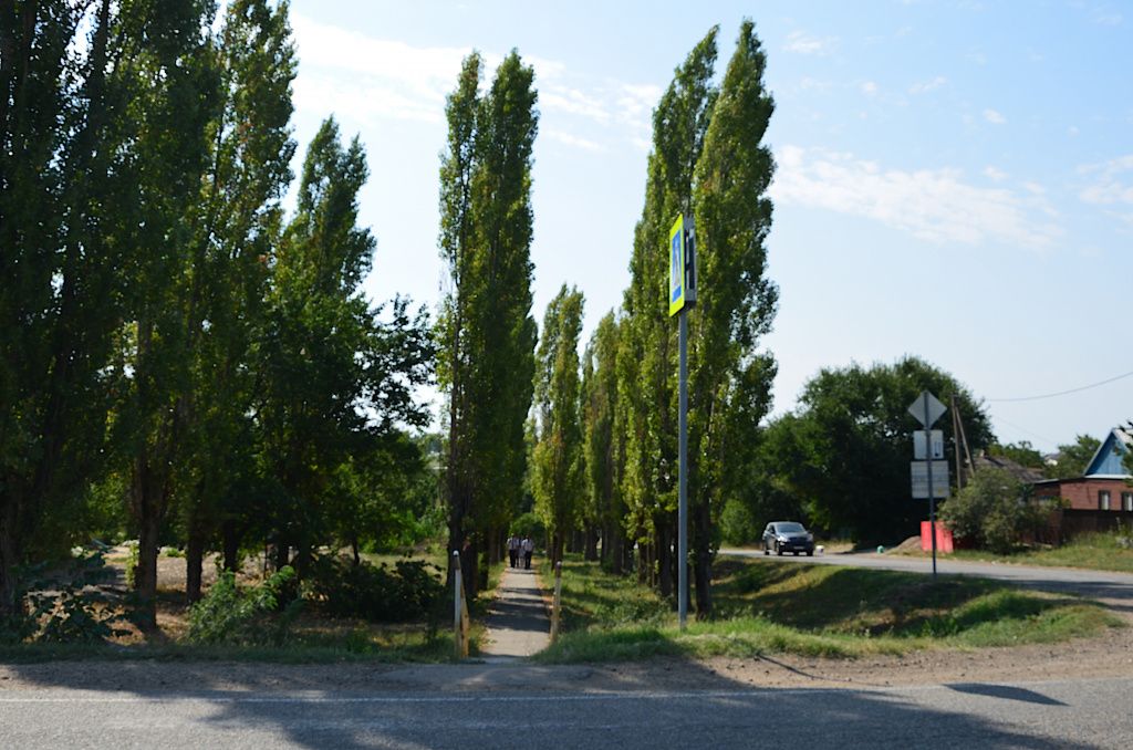 Тополиная аллея.JPG