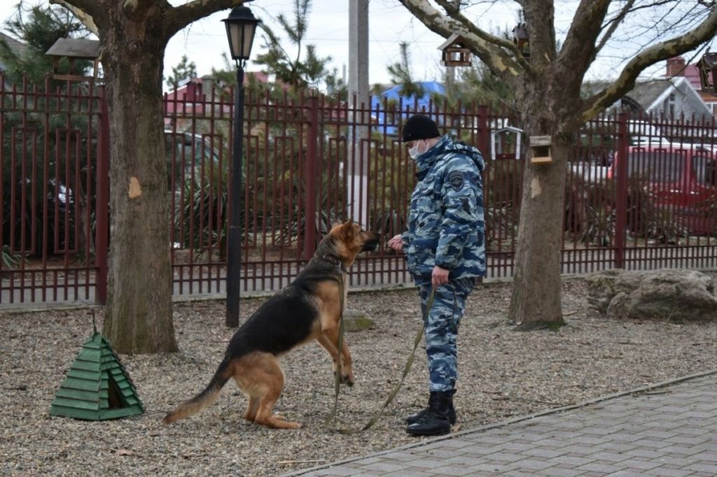 Полицейские провели встречу со школьниками в Усть-Лабинске.