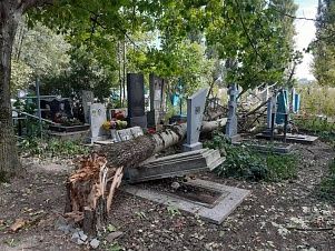 НА УСТЬ-ЛАБИНСКОМ КЛАДБИЩЕ УПАВШИЕ ДЕРЕВЬЯ СЛОМАЛИ НАДГРОБЬЯ НА УСТЬ-ЛАБИНСКОМ КЛАДБИЩЕ УПАВШИЕ ДЕРЕВЬЯ СЛОМАЛИ НАДГРОБЬЯ