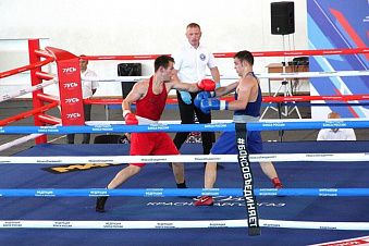 Чемпионат ЮФО по боксу стартовал в Краснодаре Чемпионат ЮФО по боксу стартовал в Краснодаре