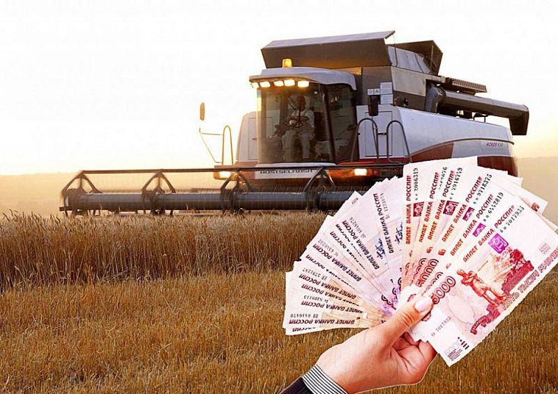 Фермерам Усть-Лабинского района из краевого бюджета выделили более 14,7 млн рублей Фермерам Усть-Лабинского района из краевого бюджета выделили более 14,7 млн рублей