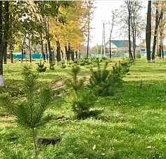 Завершено озеленение трех «железных» хуторов Завершено озеленение трех «железных» хуторов
