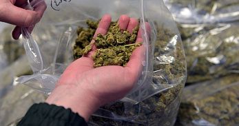 Устьлабинец попался полицейским на хранении наркотиков Устьлабинец попался полицейским на хранении наркотиков