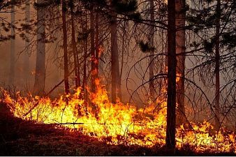 Жителям Усть-Лабинского района напоминают об опасности осенних пожаров Жителям Усть-Лабинского района напоминают об опасности осенних пожаров