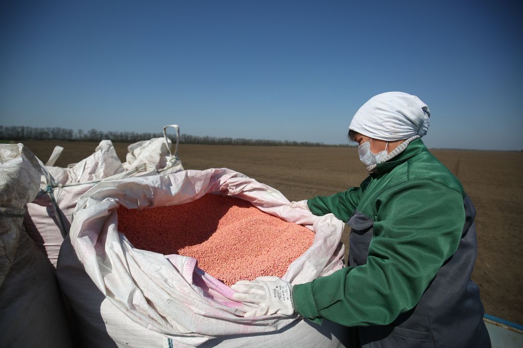 После сева все только начинается После сева все только начинается