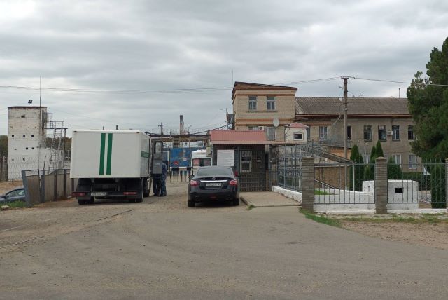 Колония.jpg