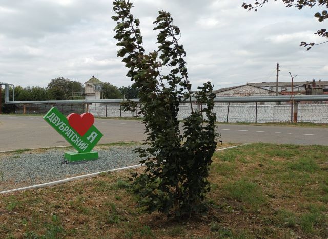 зона33.jpg