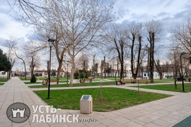 пар3.jpg