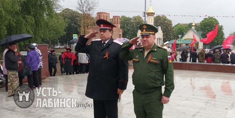 дп8.jpg