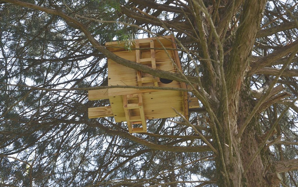 DSC_2354.JPG DSC_2354.JPG
