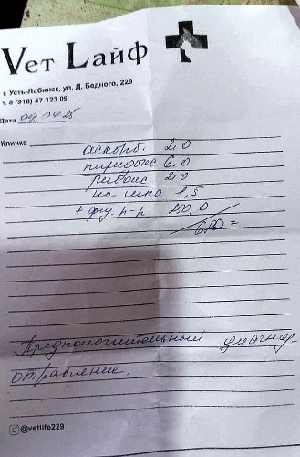 справка из ветеринарной клиники Усть-Лабинска