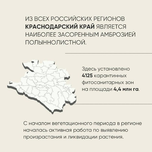 Карта районов, засоренных амброзией