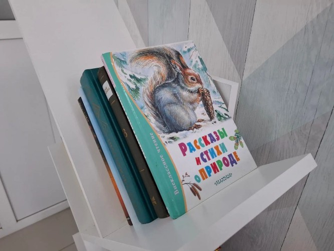 Книги на полке