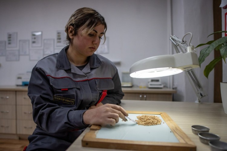 Елена за работой в лаборатории